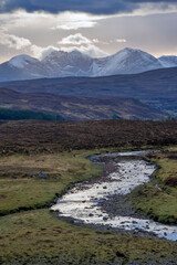 Fototapeta premium Red deer photographed in Scotland, in Europe. Picture made in 2019.