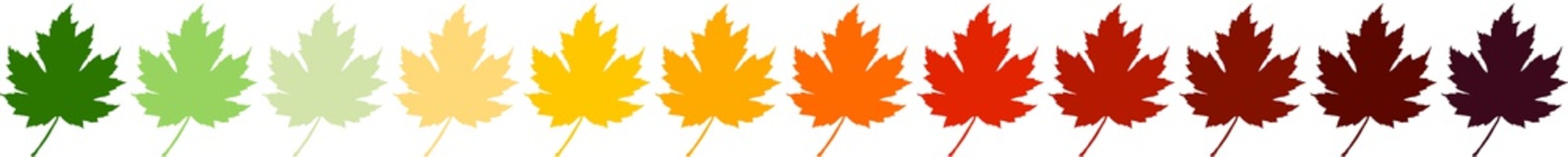 Fall Foliage Horizontal Banner