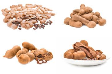 Collage of Tamarindus indica on a isolated white background