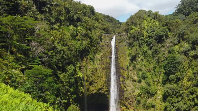 4k tilt pan upwards motion of Akaka Falls, Beautiful pristine nature landscape showing the famous 442 foot scenic waterfall,big island,Hawaii,USA