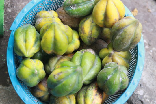 Carica fruit from Dieng,Central Java,Indonesia.