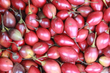 Tamarillo is a shrub or tree in the flowering species Solanaceae.