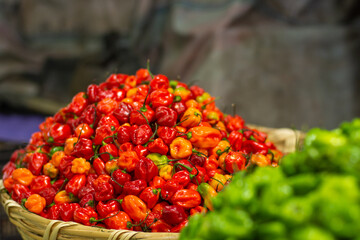 Fresh organic red habanero chile at Mexican street market