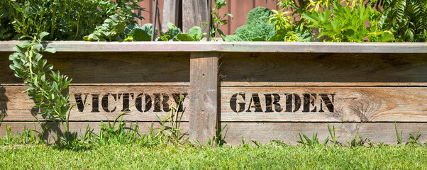 Victory Garden sign on raised vegetable bed, save money and grow your own food concept