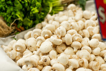 fresh organic edible mushrooms at Mexican street market