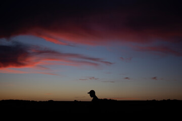 Obraz na płótnie Canvas silhouette sunset