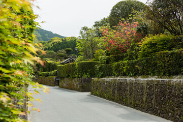 日本　鹿児島県南九州市、知覧の武家屋敷通り