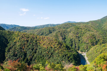 Obraz premium 嵐山高雄パークウェイからの景色