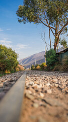 train rails in a village with green trees