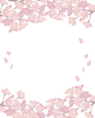 桜　フレーム　上下　満開　シンプル　イラスト