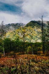 Fototapeta premium Natural scenic view of Kamikochi in Nagano prefecture, Japan. 
