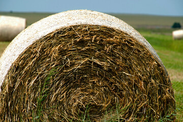 Hay Bales