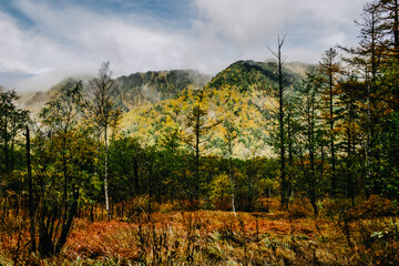 Natural scenic view of Kamikochi in Nagano prefecture, Japan. 