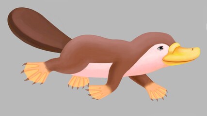 Cheerful platypus on gray background, illustration