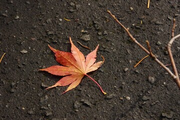 誰かに気が付いてほしくて