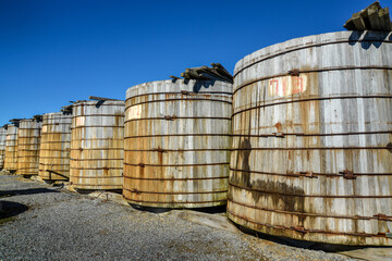 Large wooden barrels for pickling brine