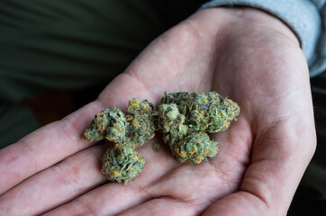 Strong marijuana with high THC content, bright green kiefy nugs frosty