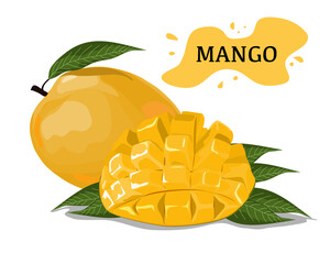 set of mango fruits, whole mango and mango cutting with leaves and  text on white backgroung. Close up hand drawing vector illustration. 