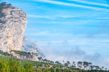 High stone rock in the forest on a hillside in the fog.