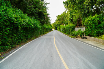 Curved road, trees and grass along the road.

