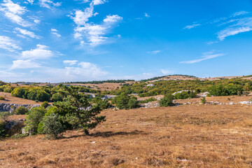 Autumn steppe landscape on a mountain plateau with low trees.