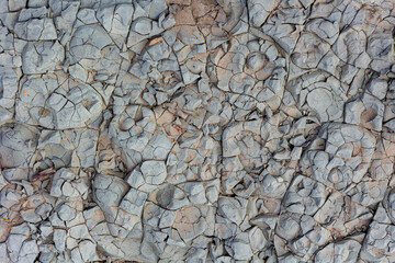 Natural stone used in construction and outdoor landscape design.