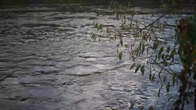 Relaxing video of water floating