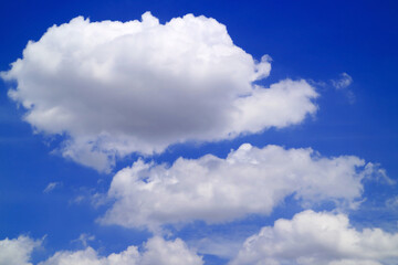 Obraz na płótnie Canvas Fluffy Cumulus Clouds Floating on Vivid Blue Sky