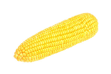 Sweet corn isolated on white background with clipping path. 