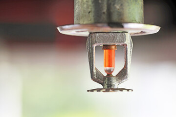 Fire sprinkler head on the ceiling.