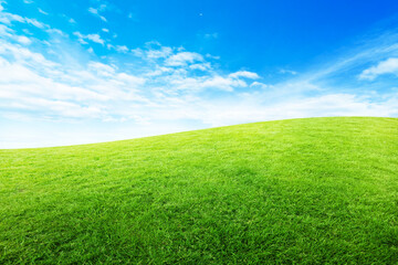 Landscape view green grass meadow field with white clouds and blue sky in summer seasonal.