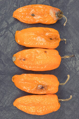 Old moldy peppers on dark background, unhealthy and disgusting vegetable