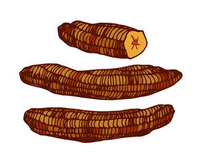 brown dried bananas, delicious food, sweet dessert fruits, color vector illustration with contour lines isolated on a white background in a doodle and hand drawn style