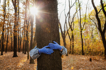 Hands in rubber gloves hug tree trunk
