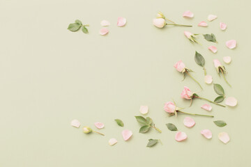 pink and white flowers on green  paper  background