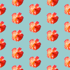 Seamless pattern with roses on a light gray-blue background. Flat lay, top view. Pop art creative design for textile, fashion, wallpaper, fabric, wrapping paper.