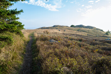 Obraz premium Hiking trail to Iceberg Point on Lopez Island, Washington, USA