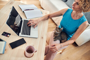 Woman working from home on a laptop / notebook with cat pet with her.