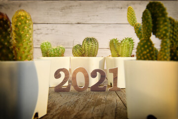 Number 2021 and cactus plant with sunlight on wooden table background. Happy new year concept and natural background idea
