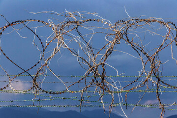 Barbed wire with blue sky on the background