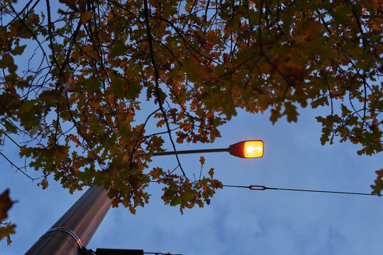 Low Angle Shot Of A Street Lamp Under Evening Sky  In Autumn