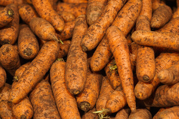 Harvest fresh carrots on the counter. Retail trade in vegetables.
