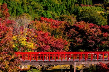 耶馬渓の紅葉
