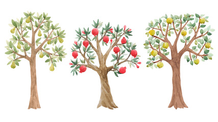 Beautiful set with cute watercolor fruit trees. Stock illustration.