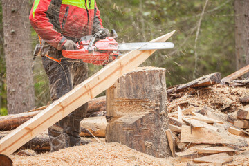 A lumberjack working safely with chainsaw and protection equipment inside an Italian forest