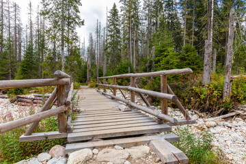 Fototapeta na wymiar Wooden bridge over the wild mountain river in coniferous forest in Tatra Mountains, Poland.