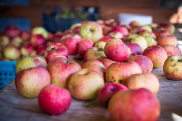 apples on the table