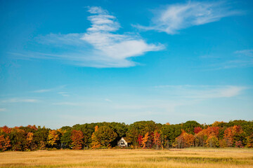 Naklejka premium Autumn foliage and reflection in Maine landscape.