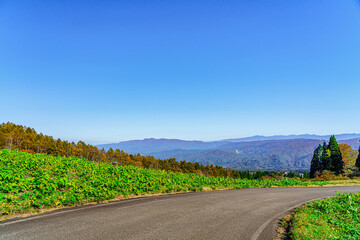 【妙高高原】紅葉時期の高原風景