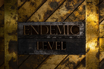 Endemic Level text message on textured grunge copper and vintage gold background